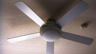 Thumbnail of post image 106