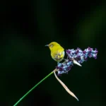 Thumbnail of related posts 089